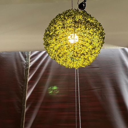 Rukmani Villas Group Of Rukmani Home Stay Mathura Esterno foto
